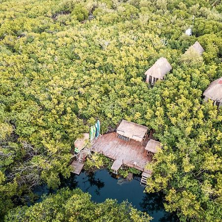 Manglex Eco Hotel 图卢姆 外观 照片