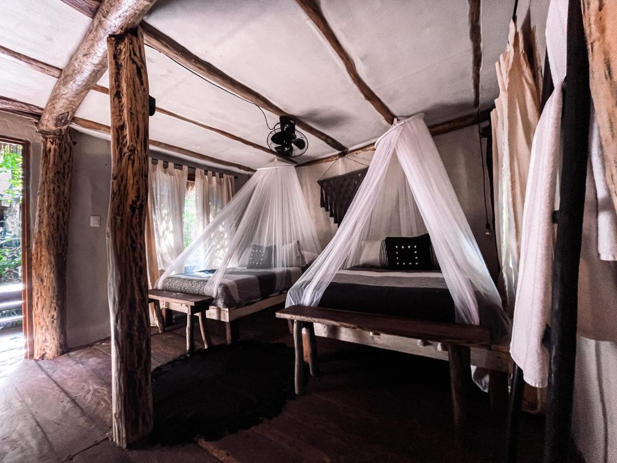 Manglex Eco Hotel 图卢姆 客房 照片