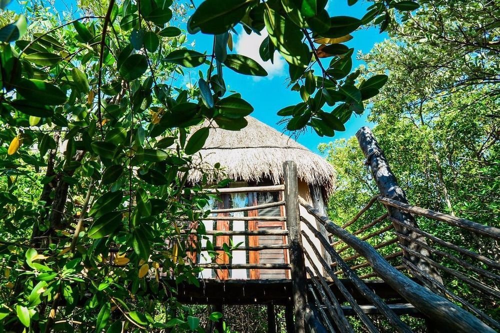 Manglex Eco Hotel 图卢姆 外观 照片