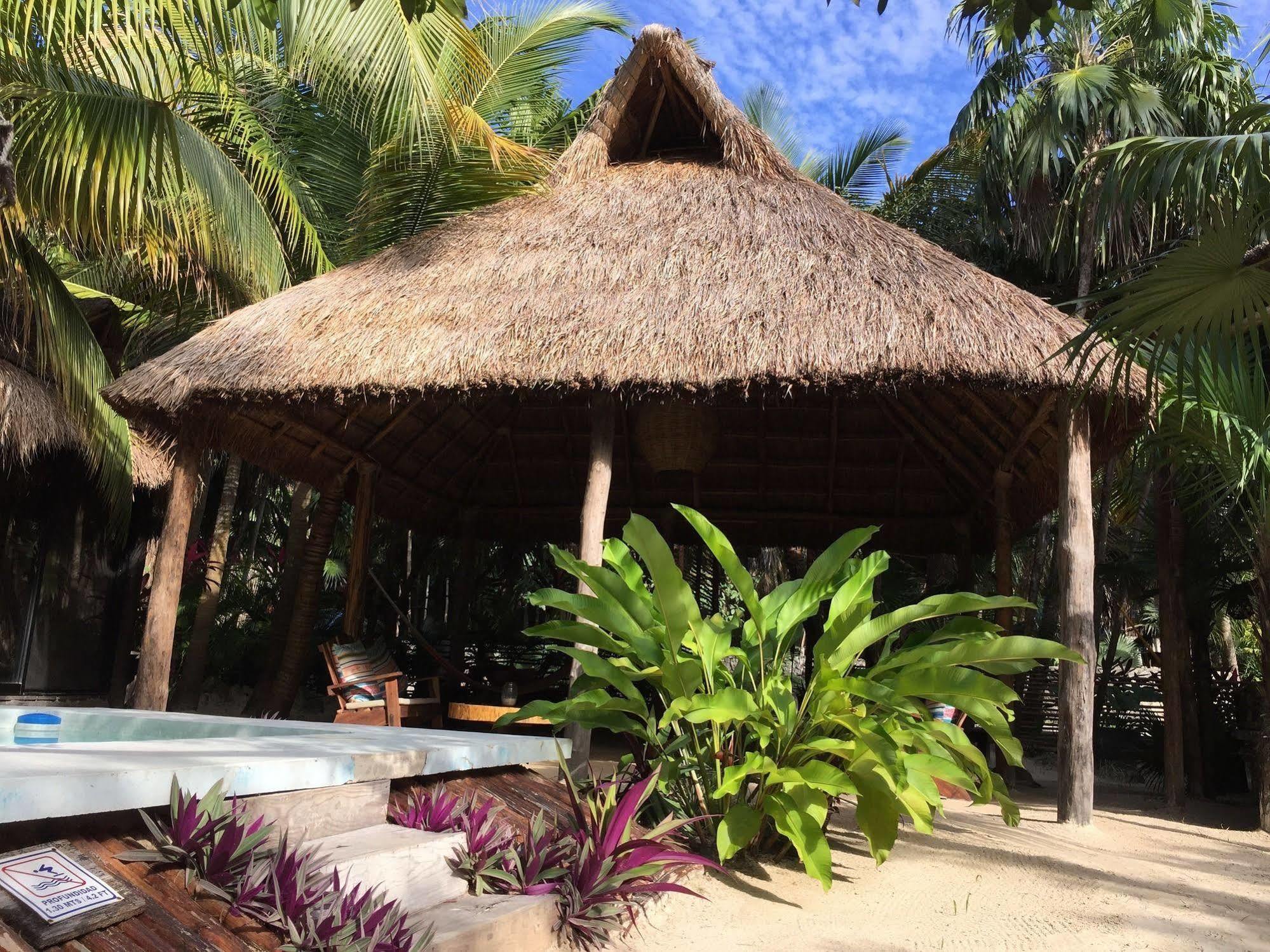 Manglex Eco Hotel 图卢姆 外观 照片