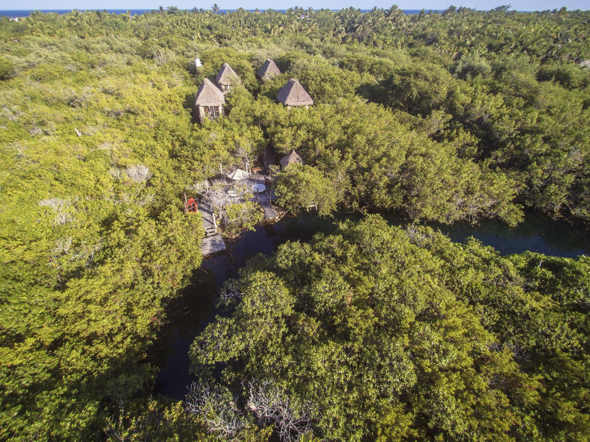 Manglex Eco Hotel 图卢姆 外观 照片