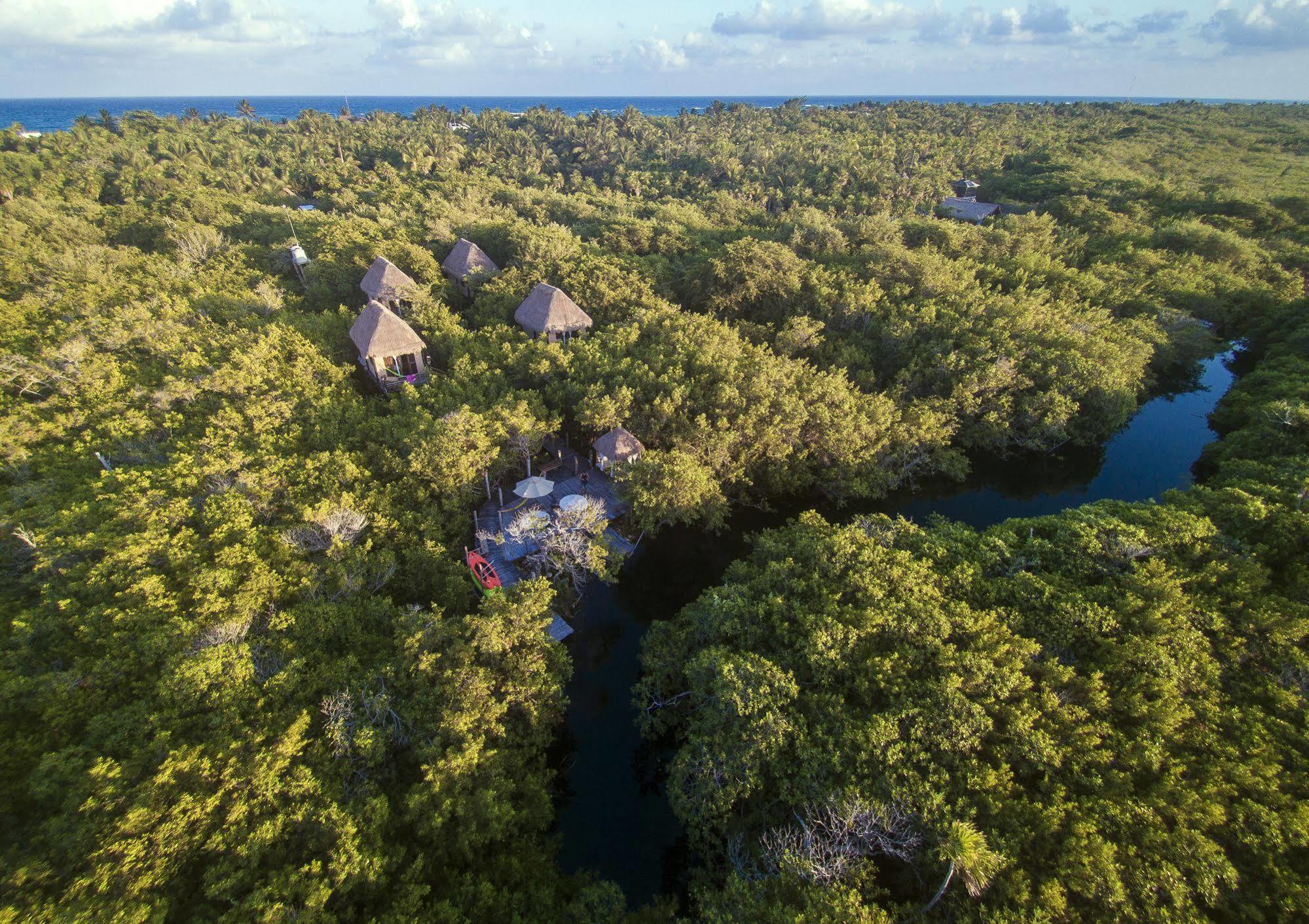 Manglex Eco Hotel 图卢姆 外观 照片