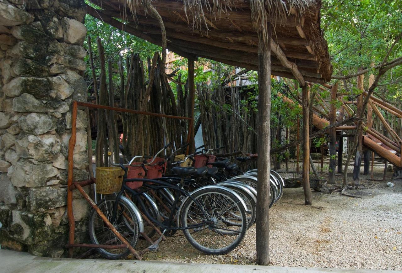 Manglex Eco Hotel 图卢姆 外观 照片