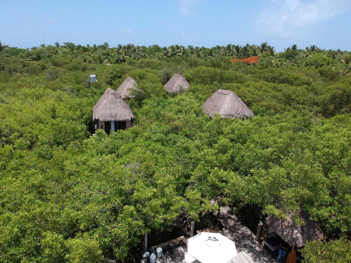 Manglex Eco Hotel 图卢姆 外观 照片