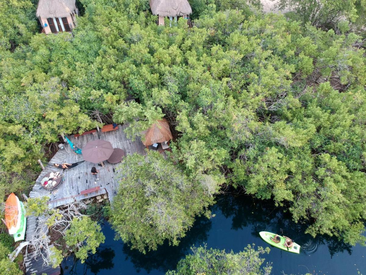 Manglex Eco Hotel 图卢姆 外观 照片